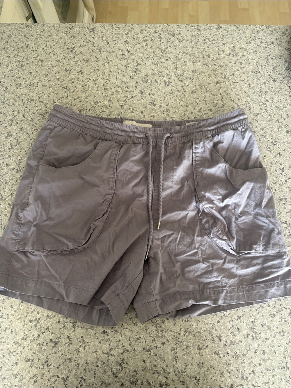 Pacsun Volley Shorts